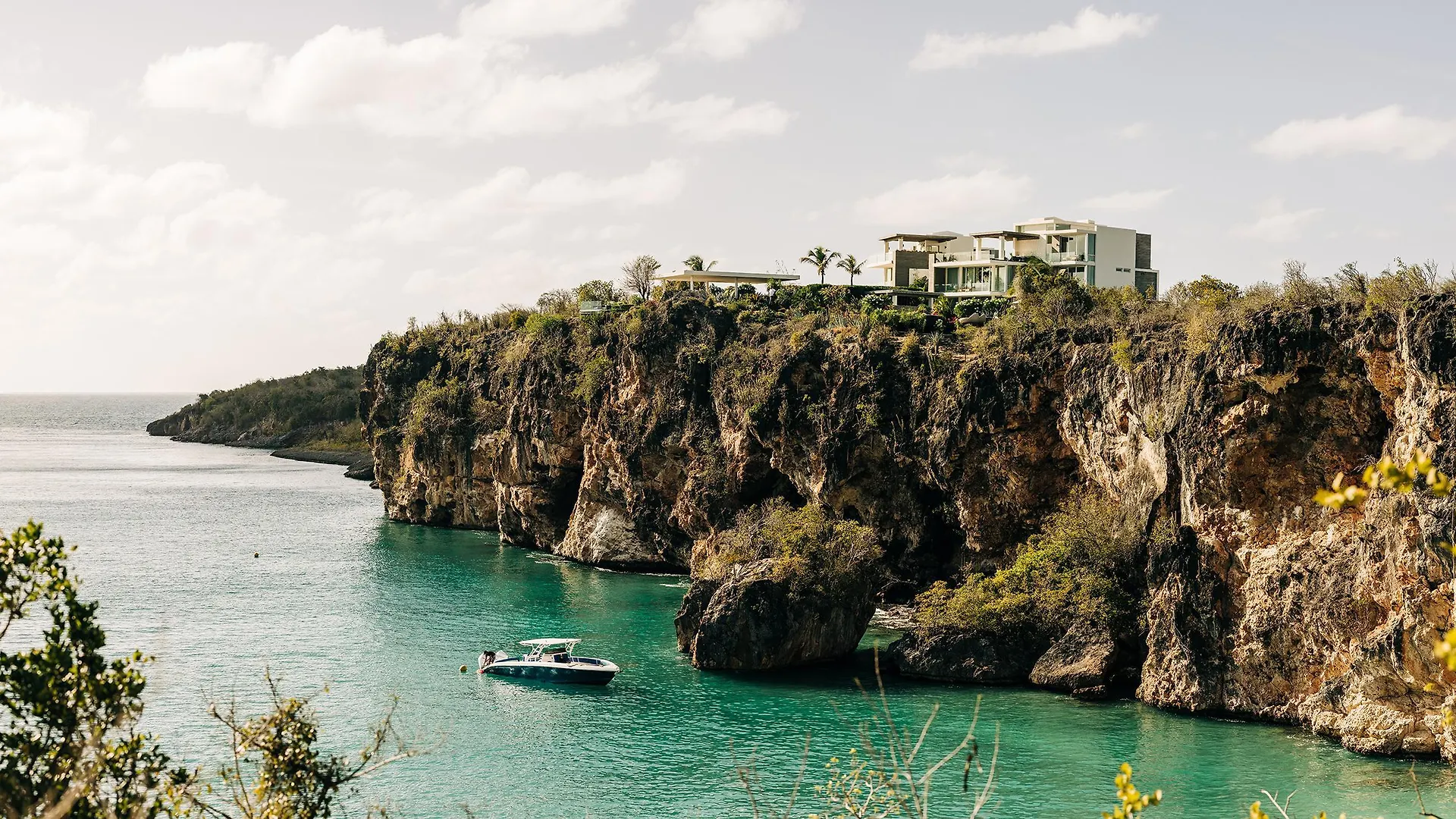 Ani Anguilla