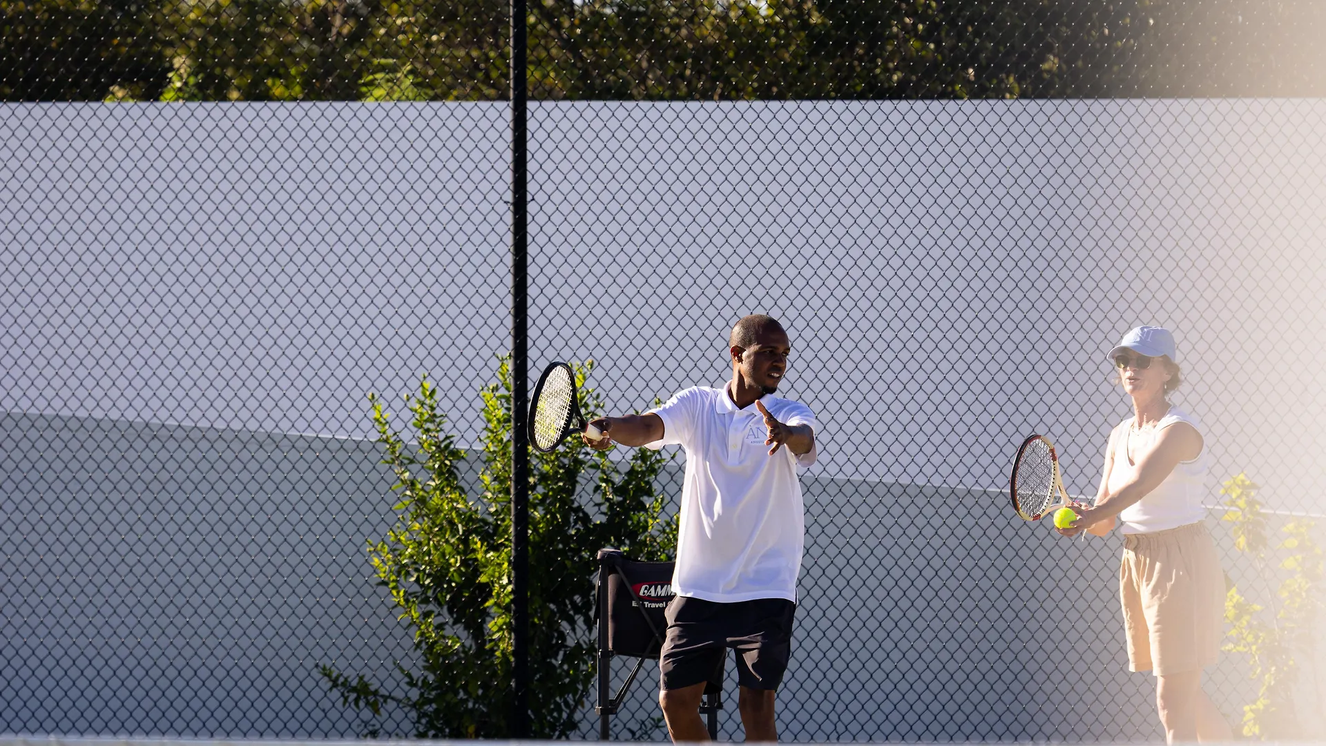 Ani Anguilla 0*,