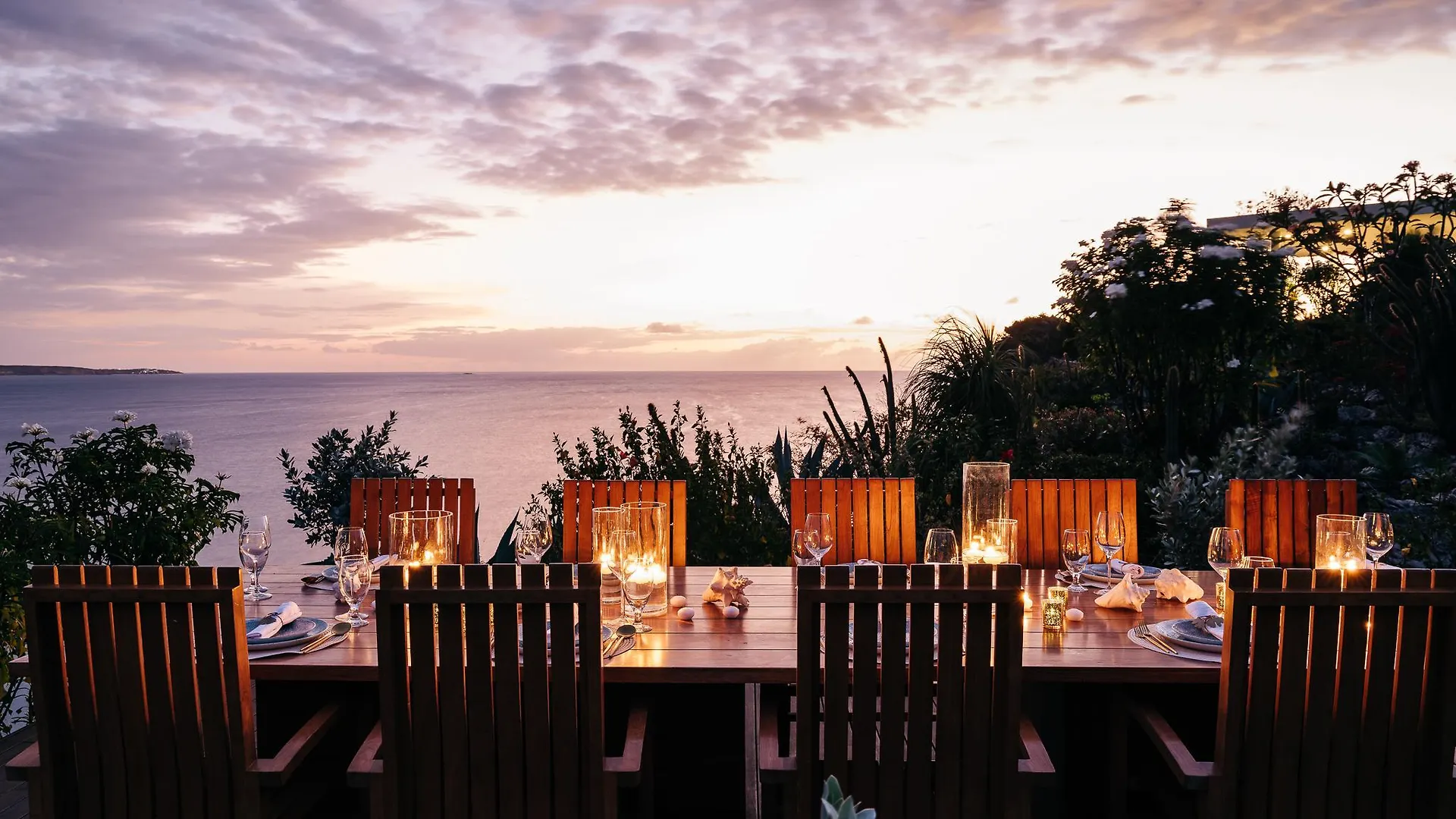 Ani Anguilla