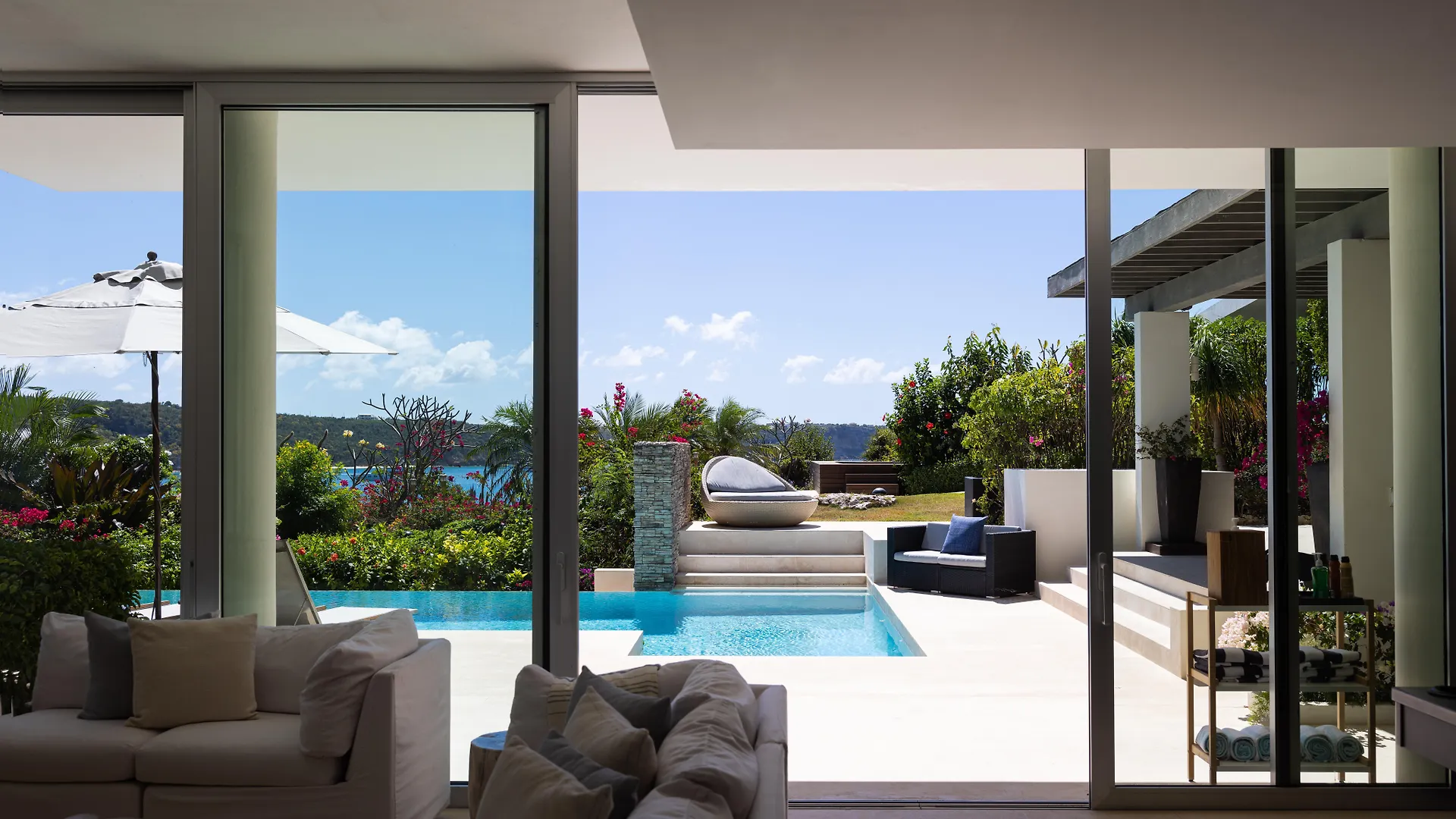 Ani Anguilla Anguilla